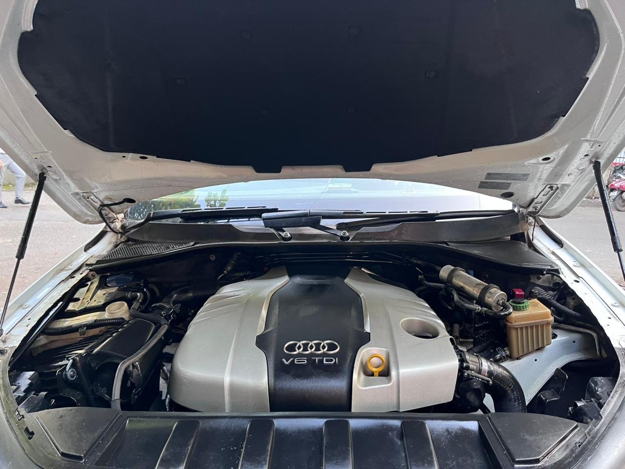 WhatsApp Image 2025-11-29 at 10.24.17 AM