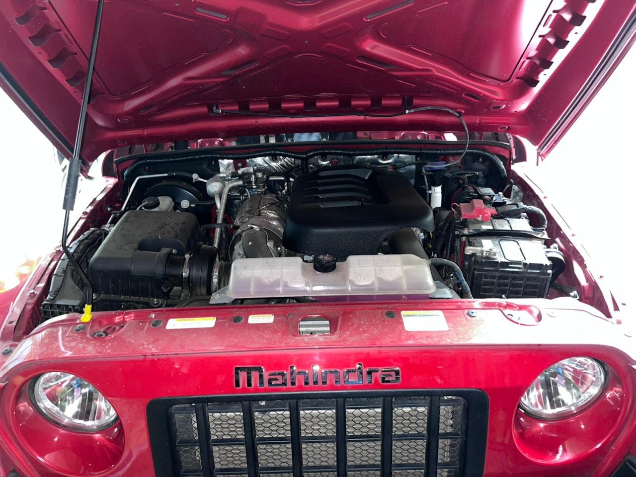 WhatsApp Image 2025-11-29 at 10.24.33 AM